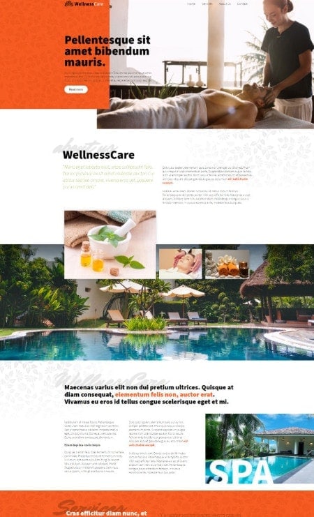 Katka Pro Wellness - Landing page Elementor page template